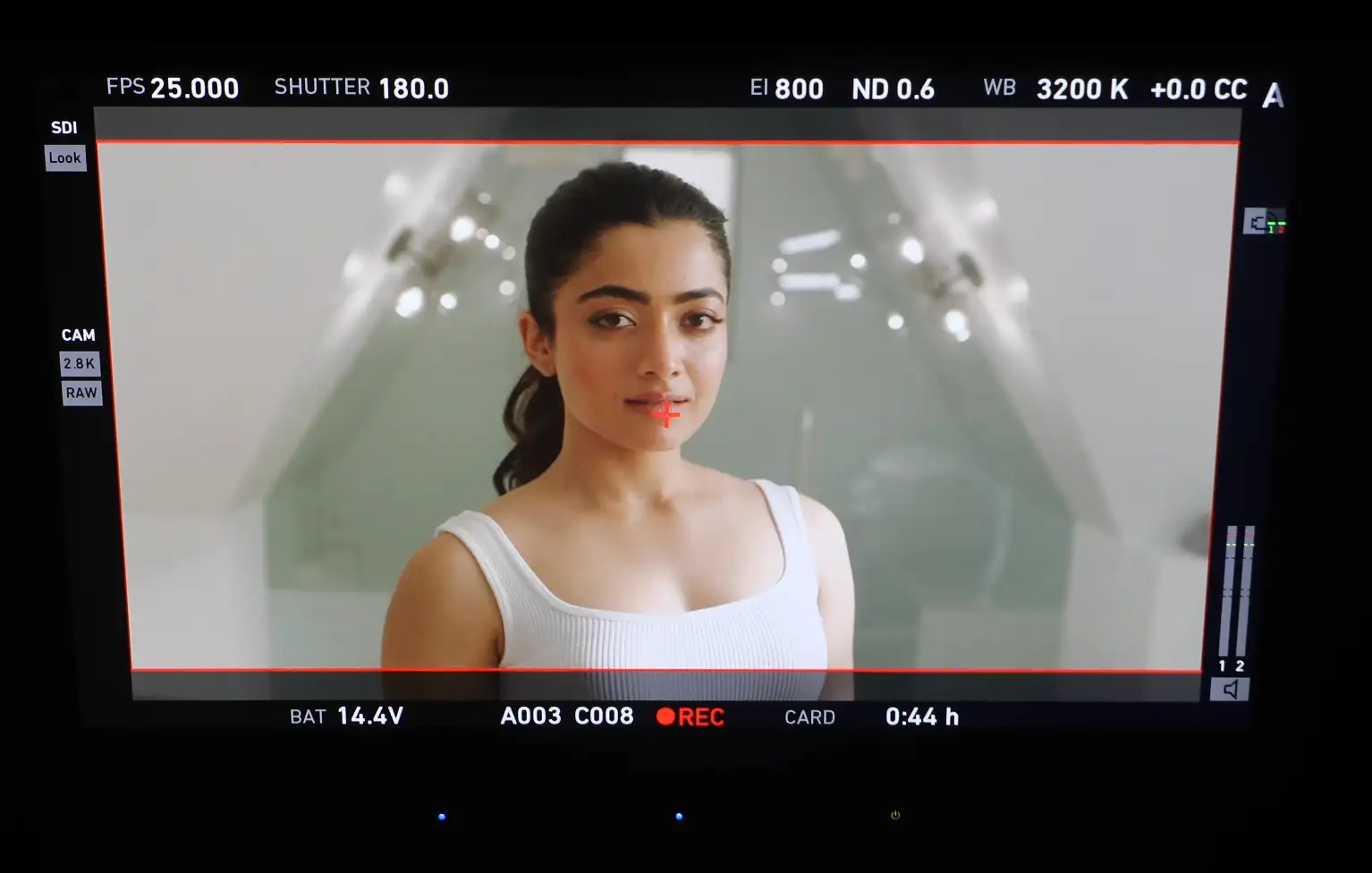 Brand design and campaign work by Crennect